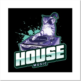 HOUSE MUSIC - Feline The Groove Posters and Art